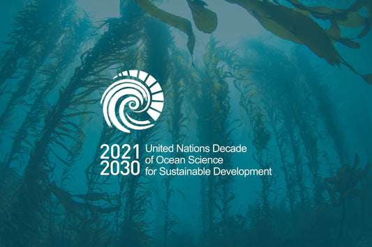 Dive Deep for a Healthy Ocean: Celebrating the UN Ocean Decade