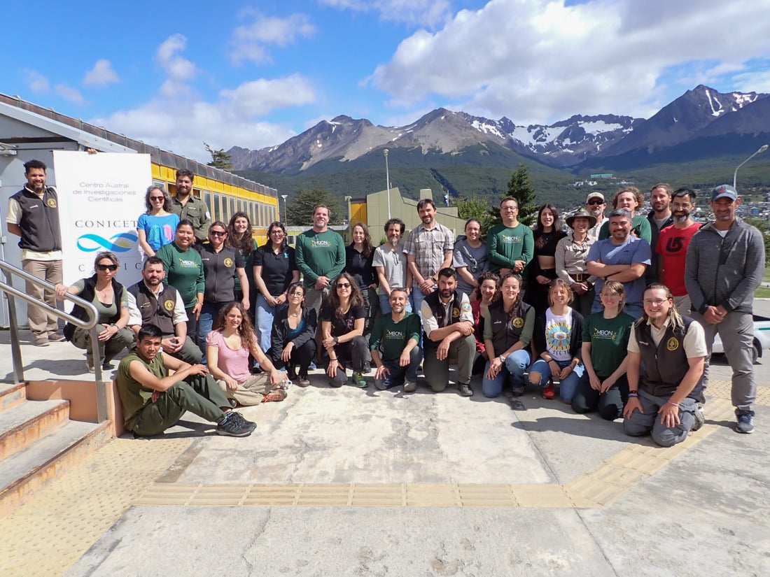 Protecting Patagonia's Rocky Shores